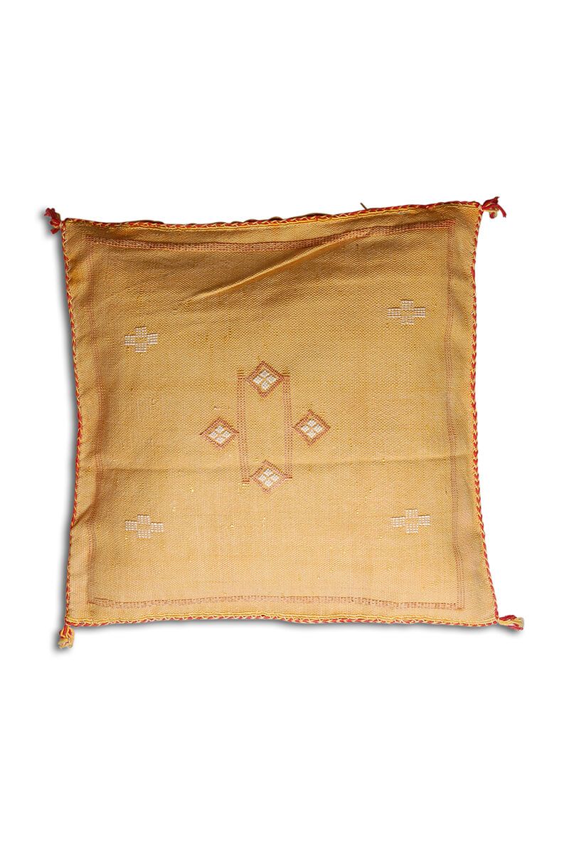 Cactus silk pillow