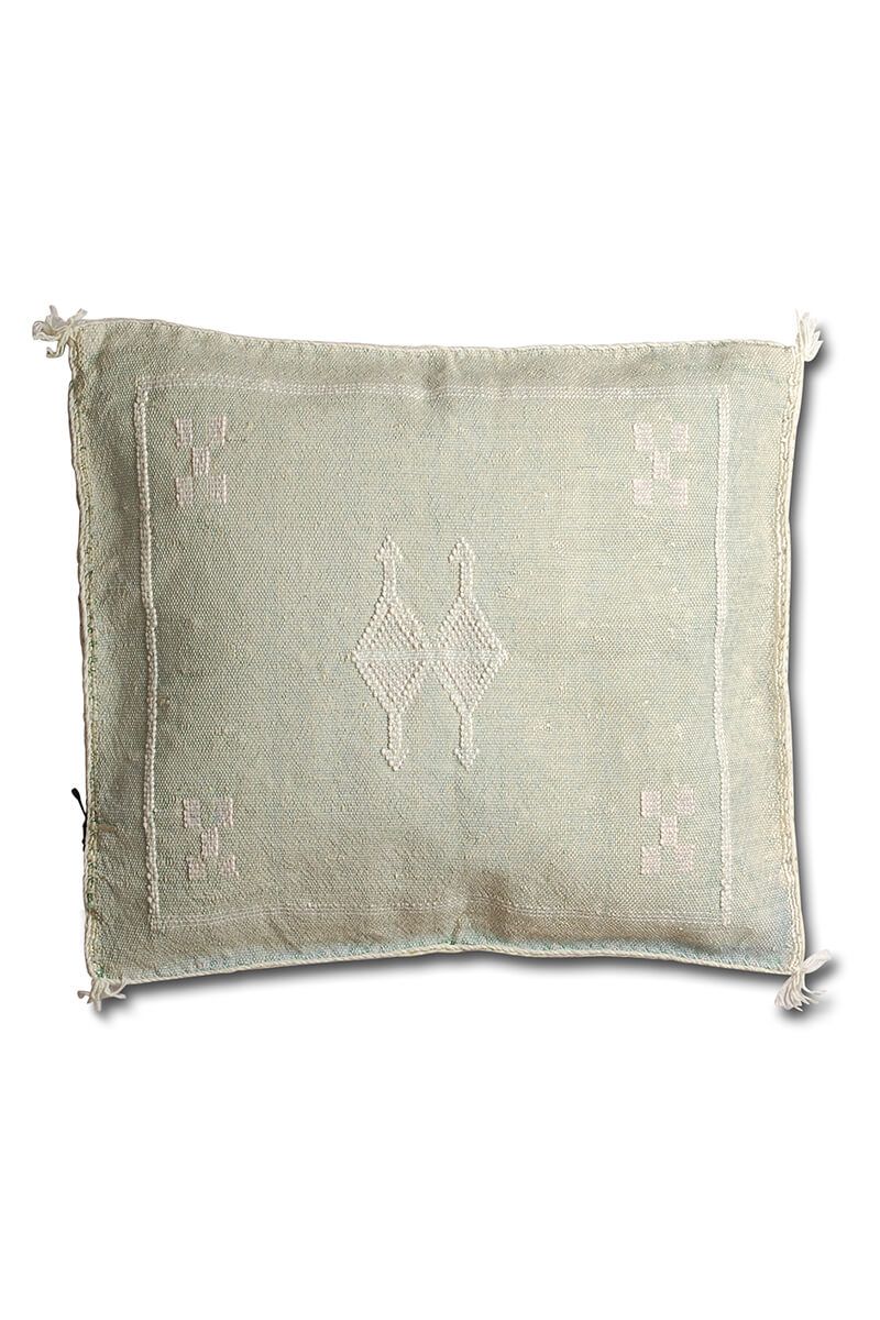 Cactus silk pillow