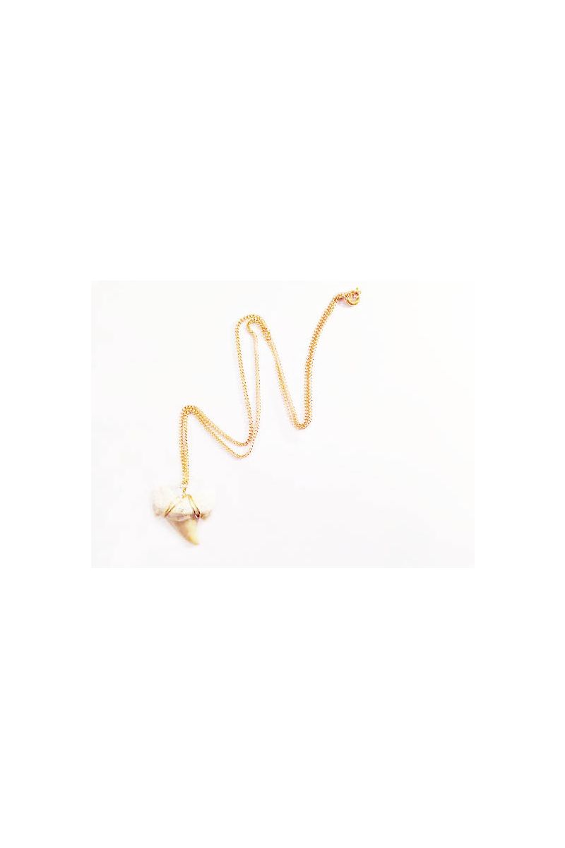 Shark tooth necklace
