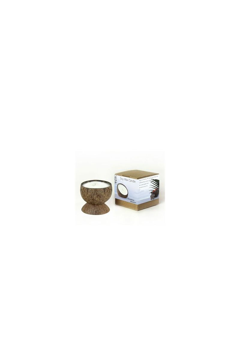 soy wax candle -  himalayan spices