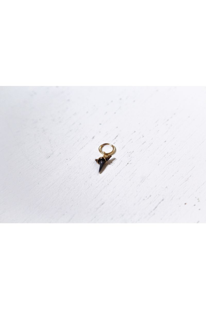 shark tooth (black) earring - gold