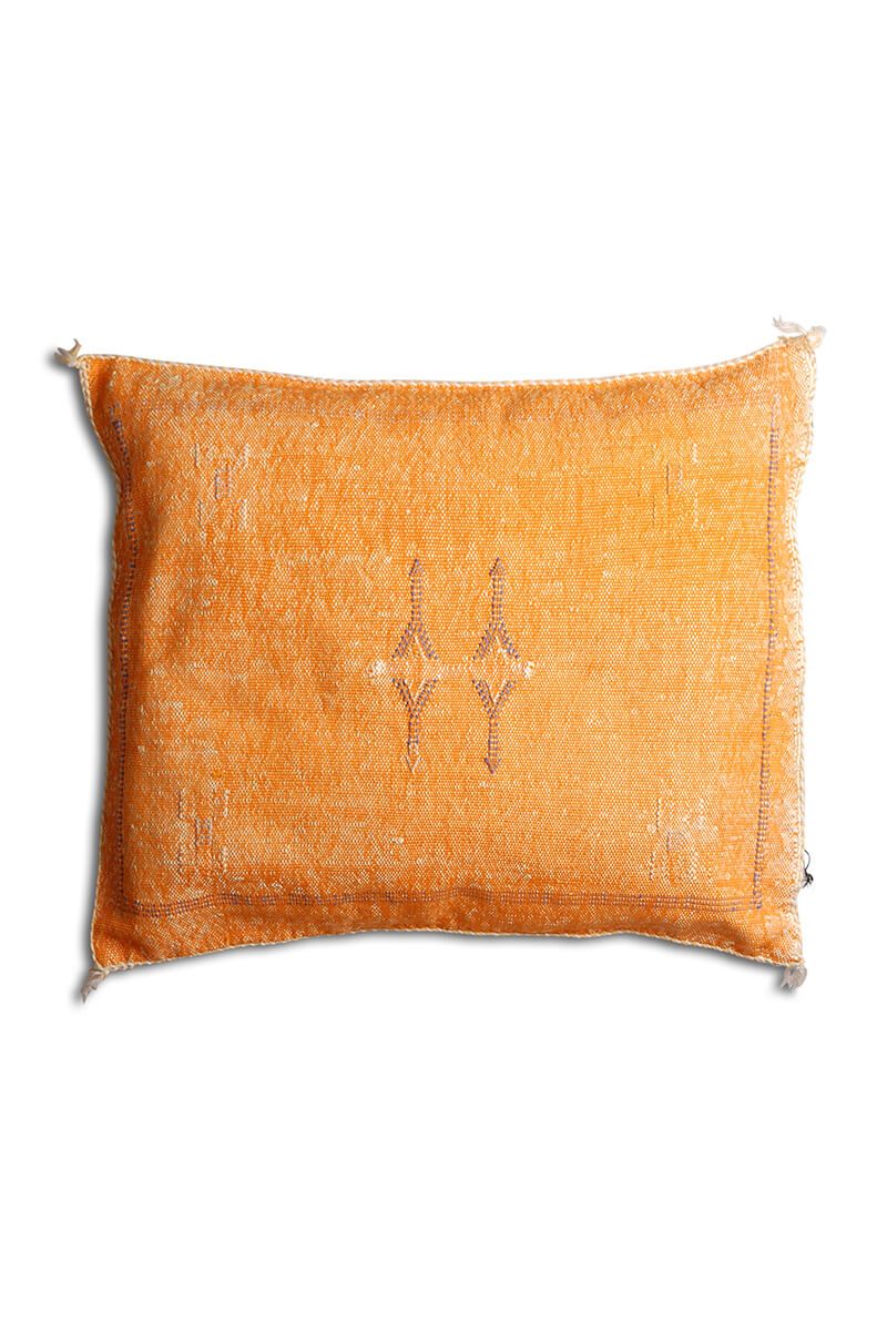 Cactus silk pillow