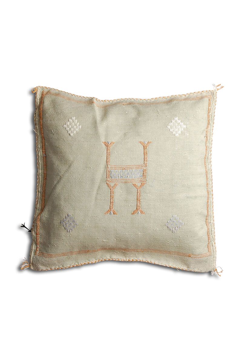 Cactus silk pillow