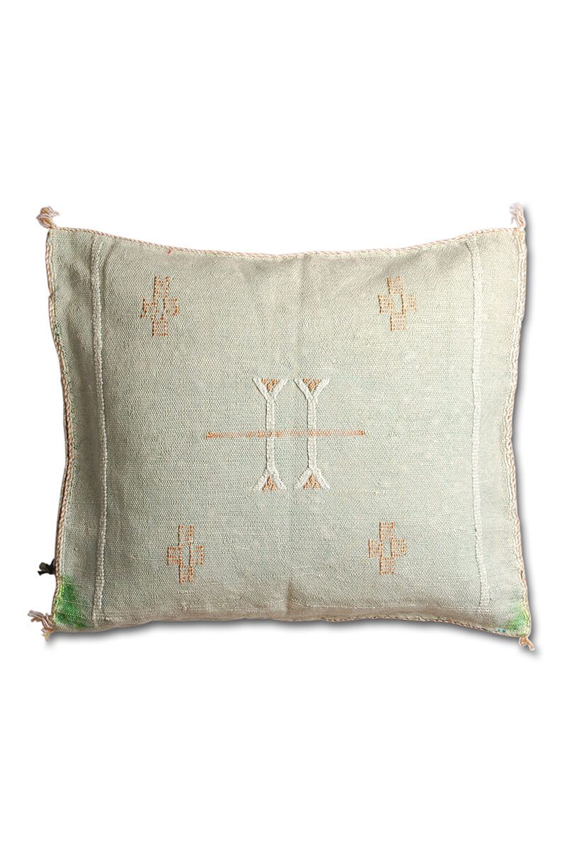 Cactus silk pillow