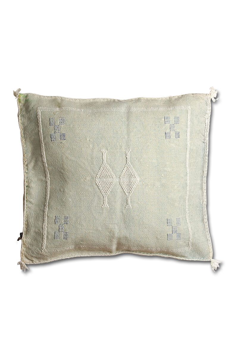 Cactus silk pillow