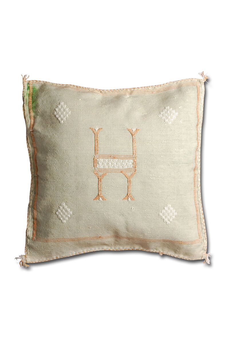Cactus silk pillow