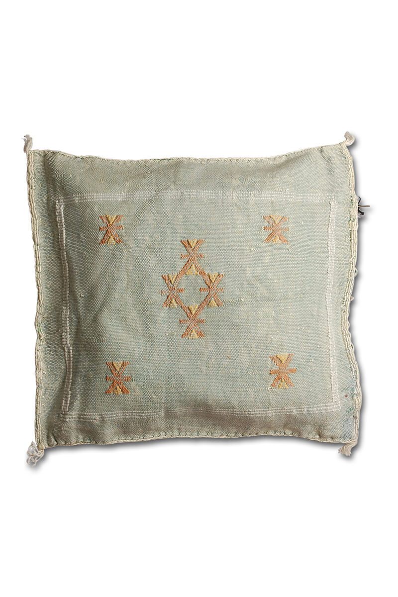Cactus silk pillow