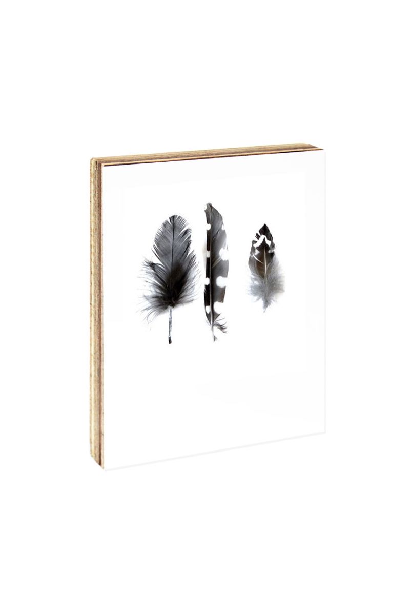 home decor photoblock - feathers