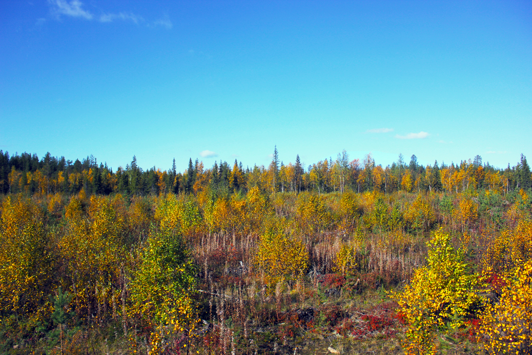 finnish lapland