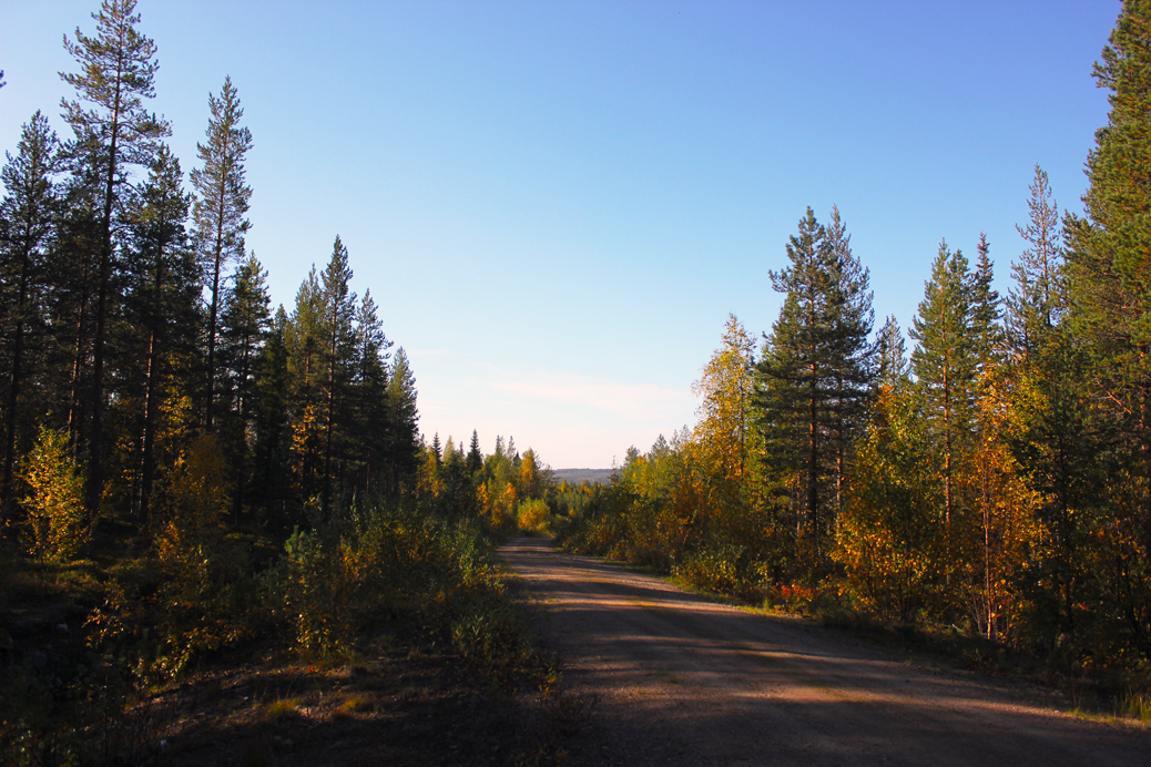 finnish lapland