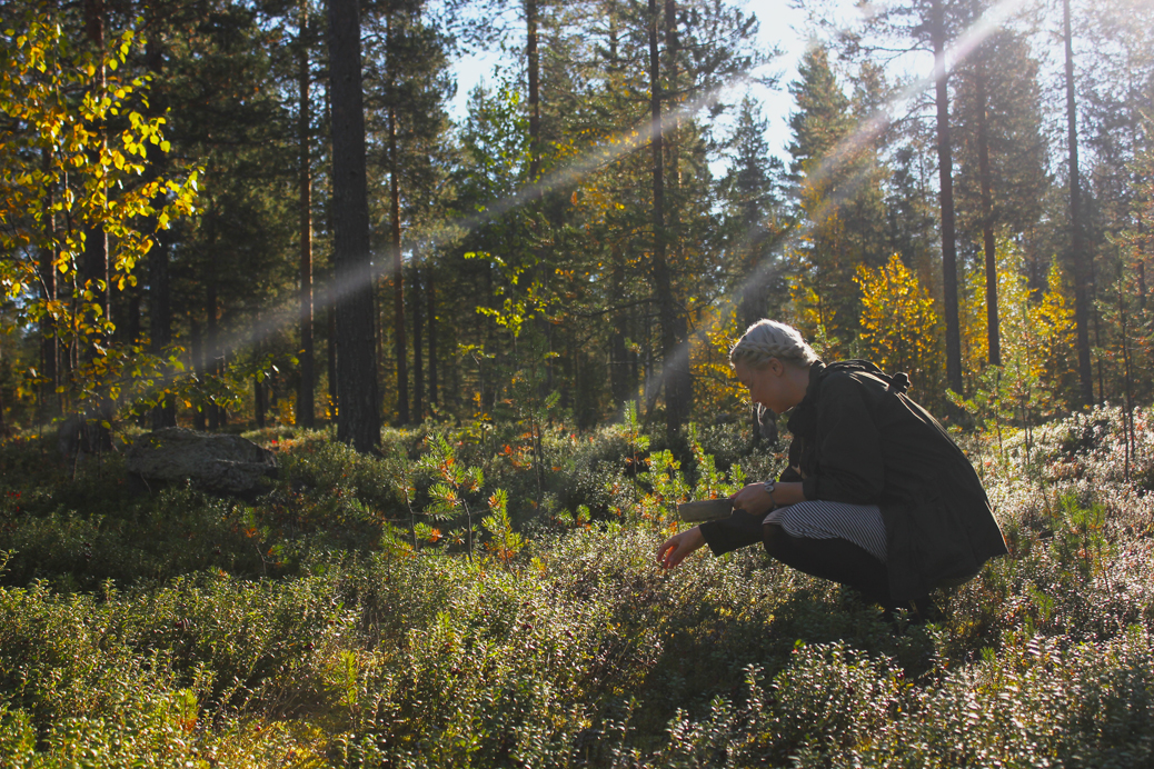 finnish lapland