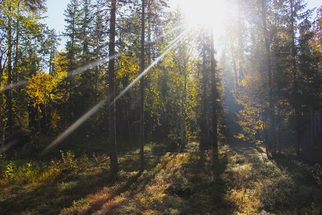 finnish lapland