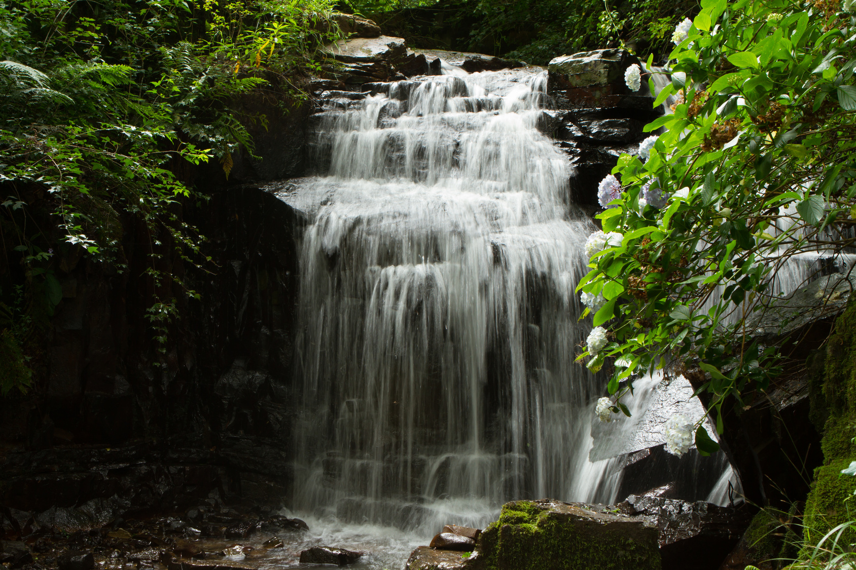 hogsback travel south africa