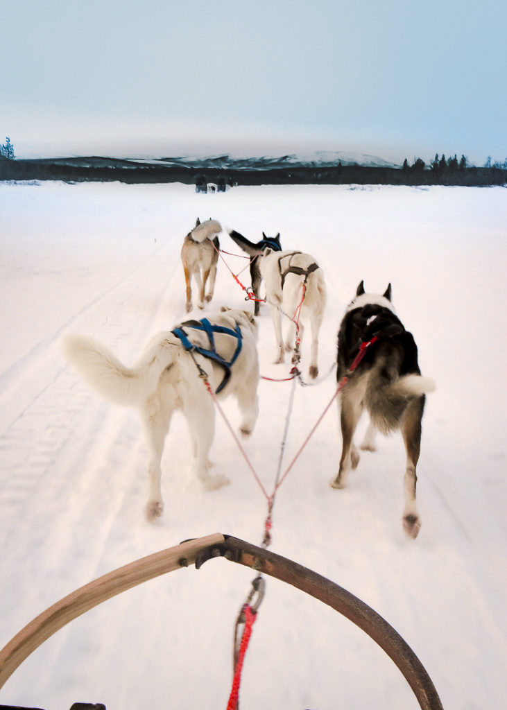 TRAVEL // A culinary experience in Swedish Lapland: Checking in to the Arctic Gourmet cabins